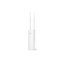 access point outdoor auranet n300